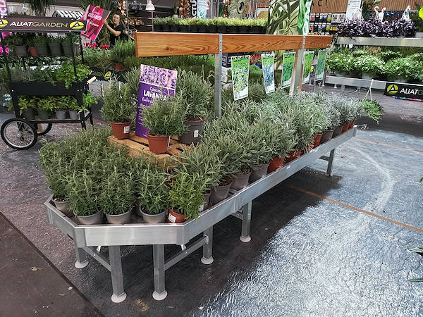 Iberflora 2021: откройте для себя стенд Орланделли