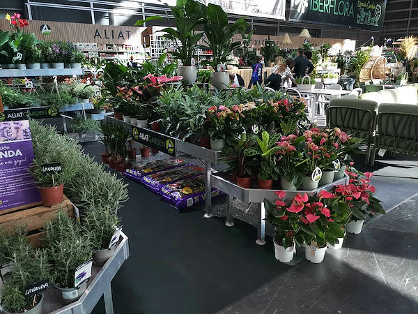 Iberflora 2021: откройте для себя стенд Орланделли