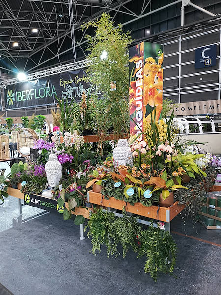 Iberflora 2021: discover the Orlandelli exhibition