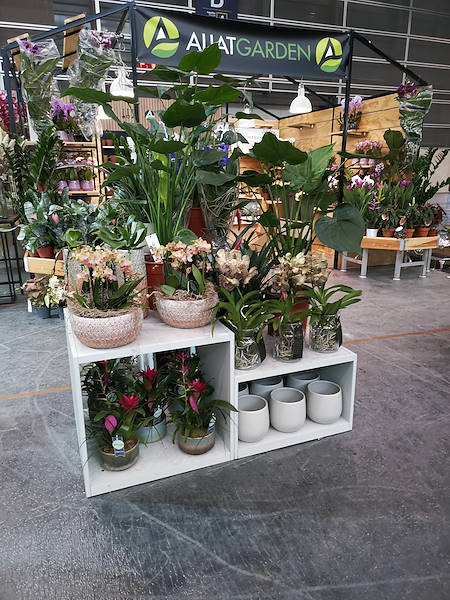 Iberflora 2021: discover the Orlandelli exhibition