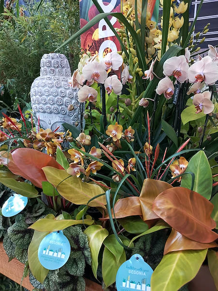 Iberflora 2021: discover the Orlandelli exhibition