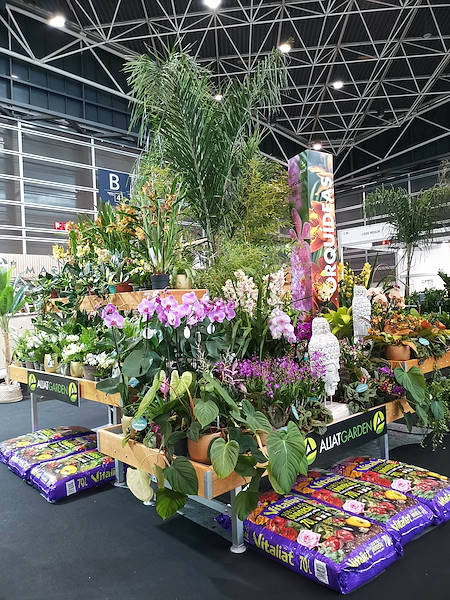 Iberflora 2021: discover the Orlandelli exhibition