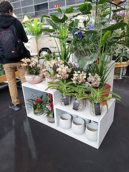 Iberflora 2021: discover the Orlandelli exhibition