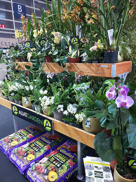 Iberflora 2021: discover the Orlandelli exhibition