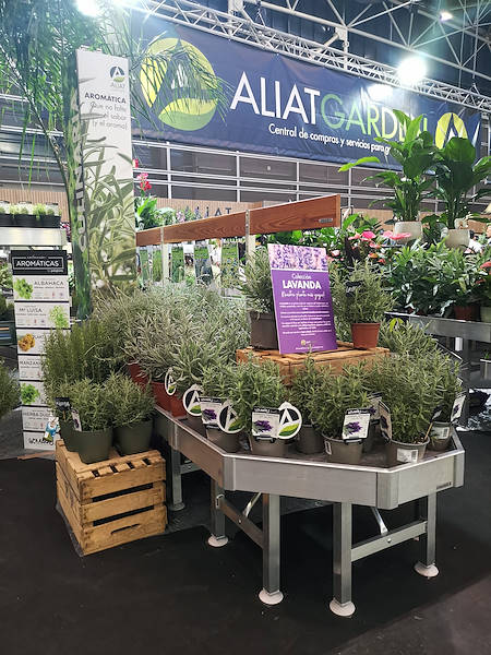 Iberflora 2021: discover the Orlandelli exhibition