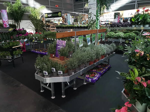 Iberflora 2021: discover the Orlandelli exhibition