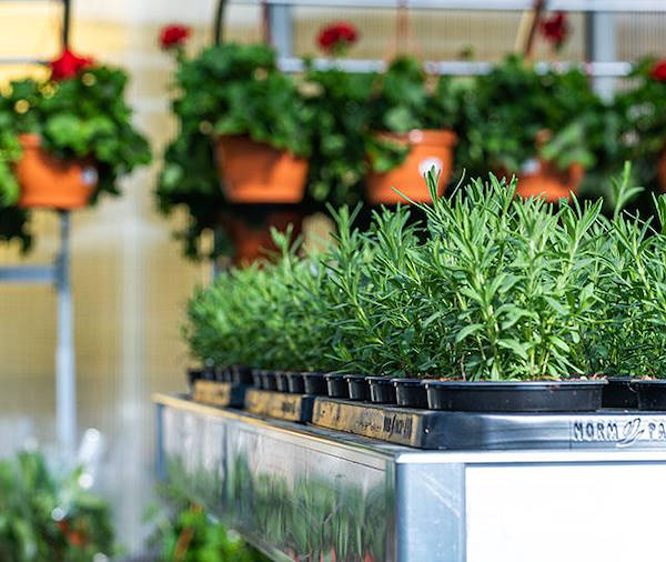 IKEA Литва выбирает концепцию бренда Орланделли