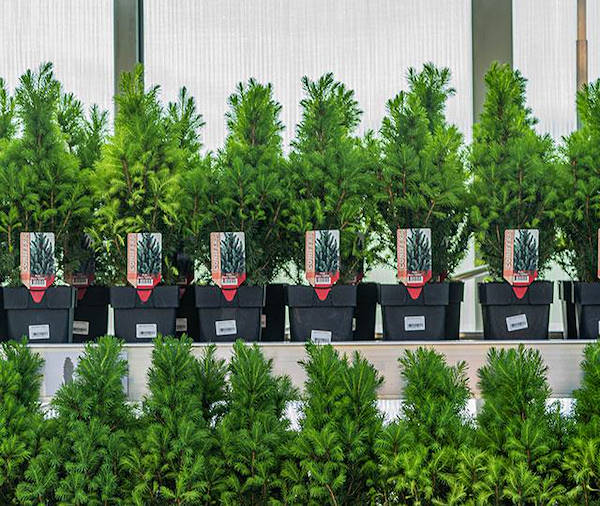 IKEA Литва выбирает концепцию бренда Орланделли