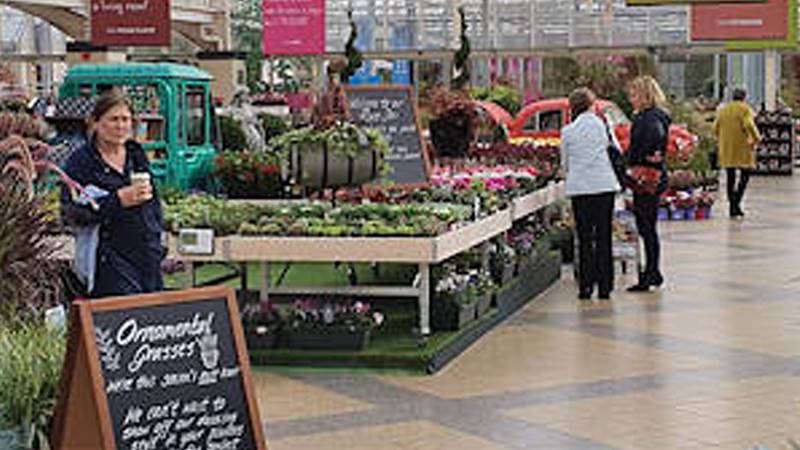 Восприятие - новый элемент, характеризующий новую комерческую среду.