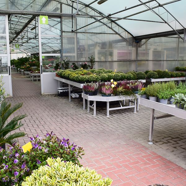 The new look of Garden Frediani