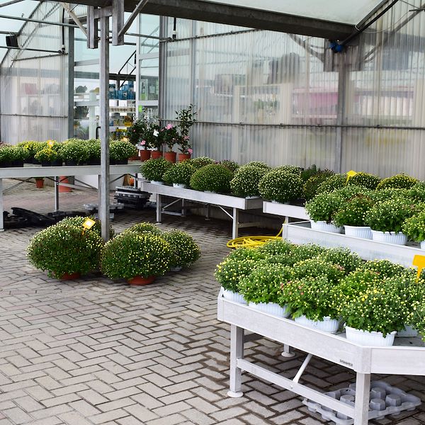 The new look of Garden Frediani