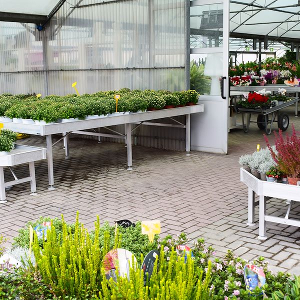 Новый облик сада Фредиани