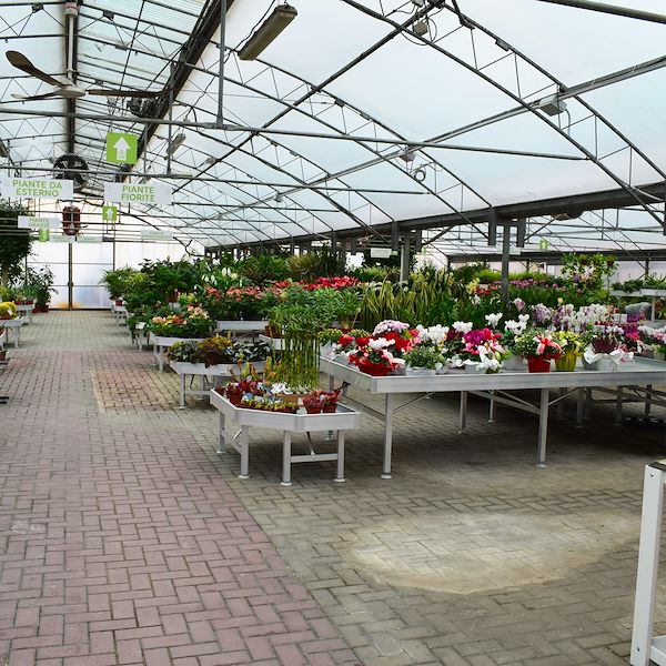 Новый облик сада Фредиани