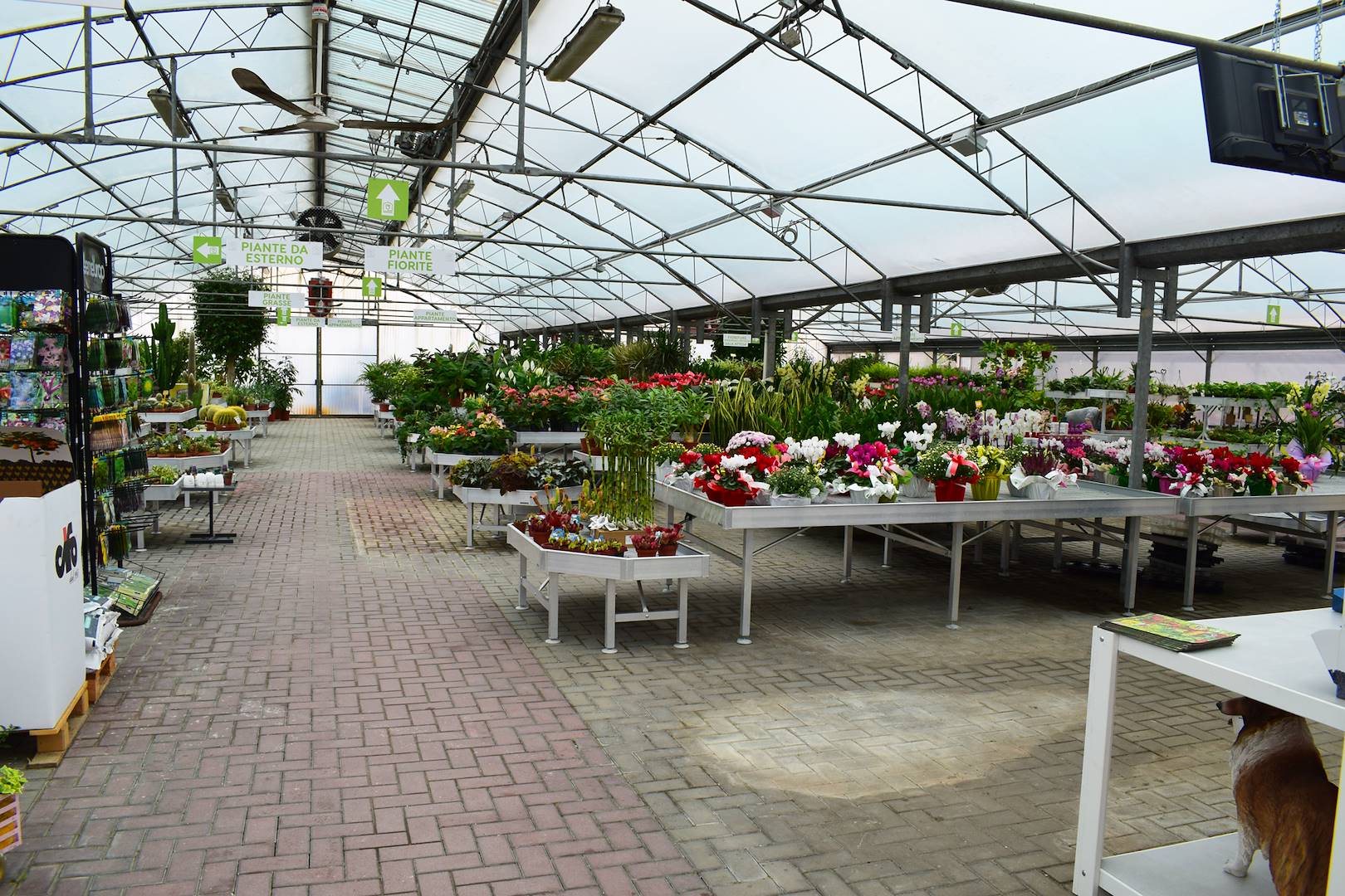 DIE NEUGESTALTUNG DES GARDEN FREDIANI