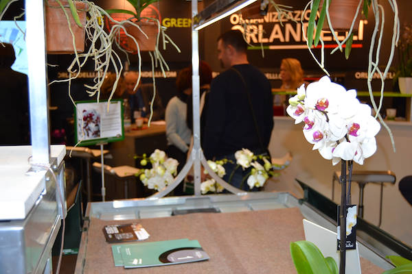 Bancali espositori con luci led