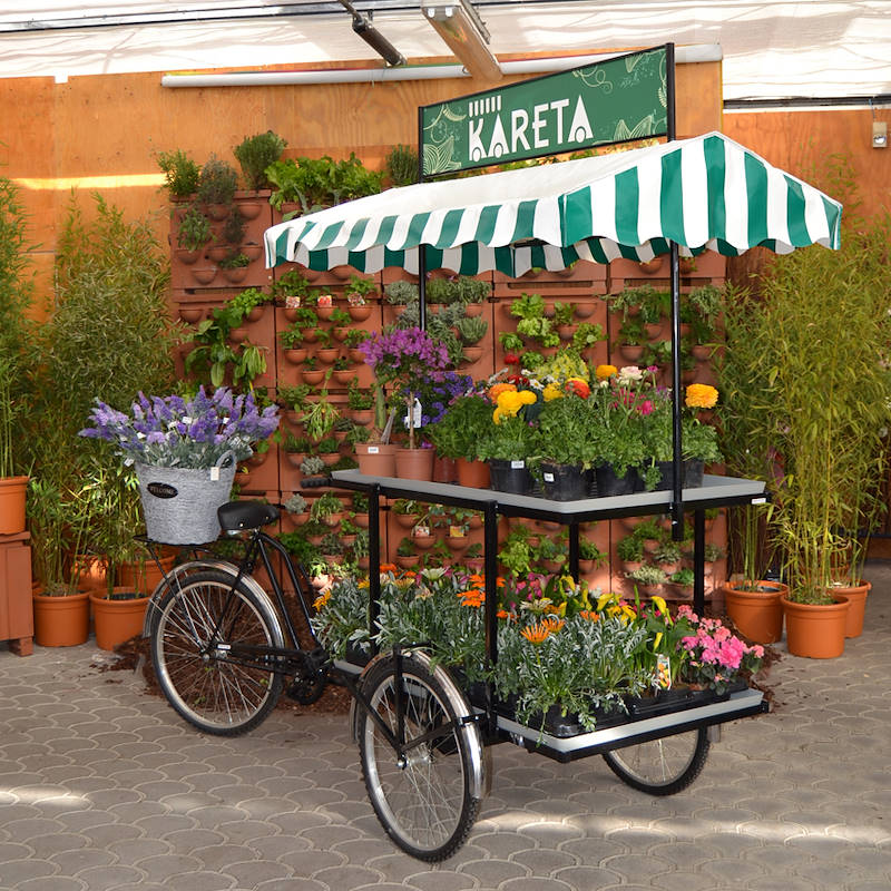 Дисплей KARETA