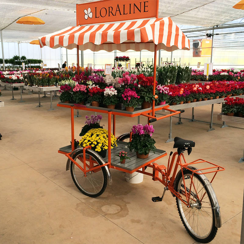 Дисплей KARETA