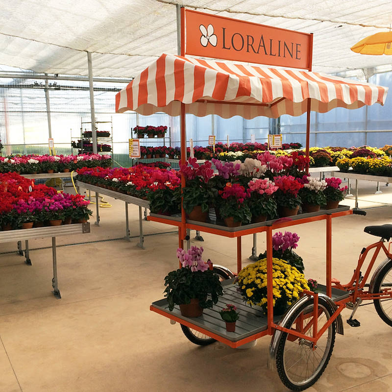 Дисплей KARETA