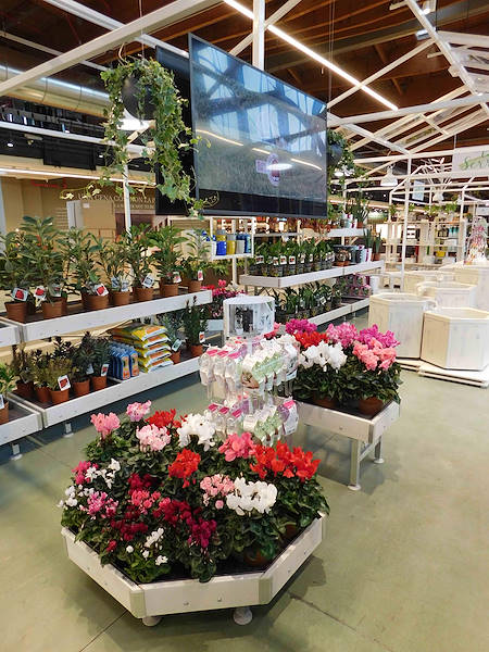 Инаугурация La Serra от Flora Toscana