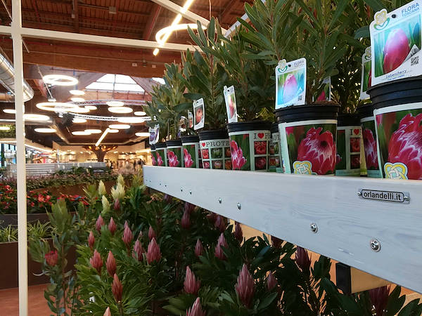 Инаугурация La Serra от Flora Toscana