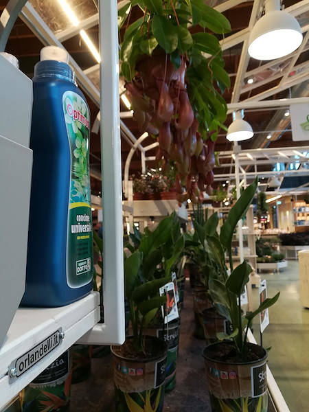 Инаугурация La Serra от Flora Toscana