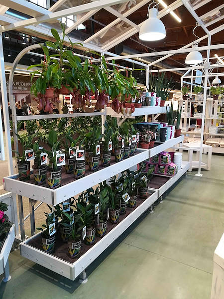 Инаугурация La Serra от Flora Toscana