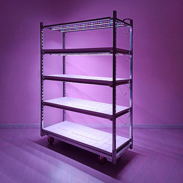 LED lights Slim - Microgreens