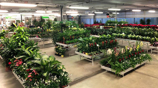 Новая концепция торгового пространства для Legnaia Vivai