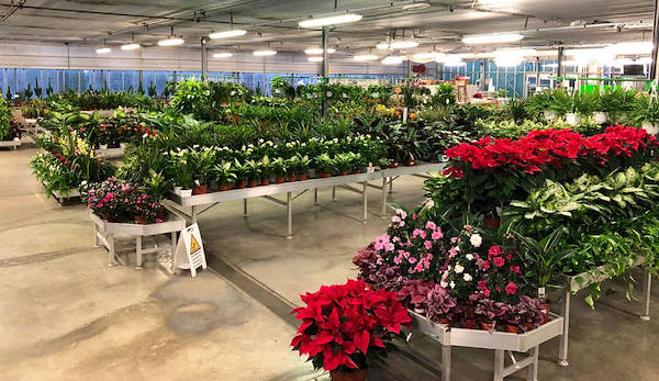 Новая концепция торгового пространства для Legnaia Vivai