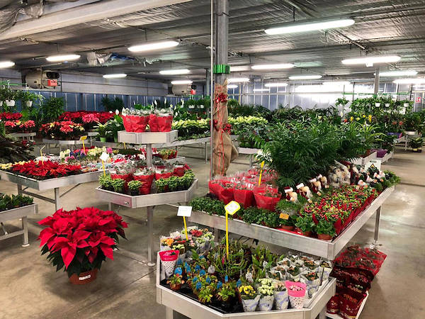 Новая концепция торгового пространства для Legnaia Vivai