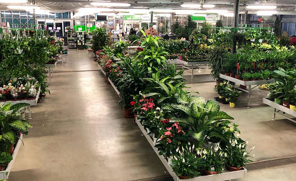 Новая концепция торгового пространства для Legnaia Vivai