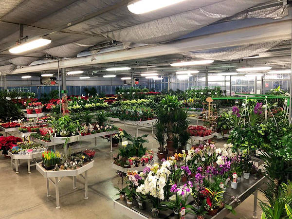 Новая концепция торгового пространства для Legnaia Vivai