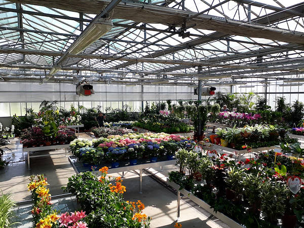 Новая концепция торгового пространства для Legnaia Vivai