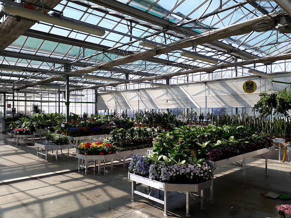 Новая концепция торгового пространства для Legnaia Vivai