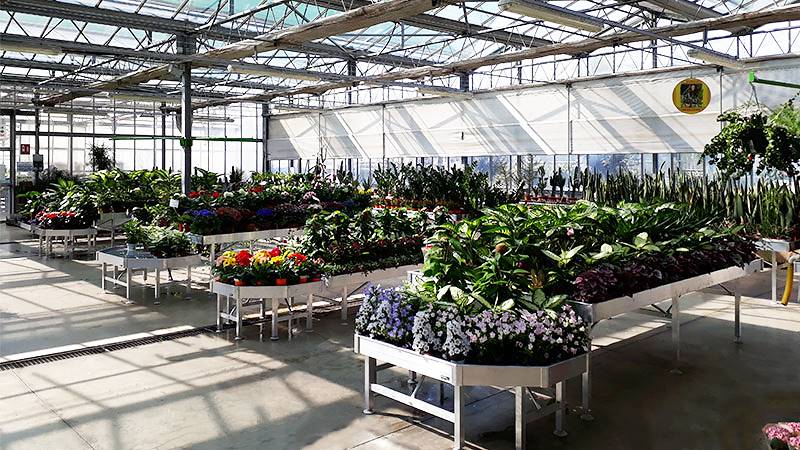 Новая концепция торгового пространства для Legnaia Vivai