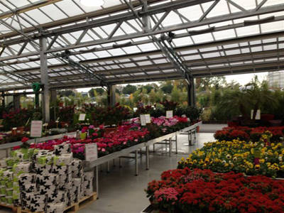 Les Jardins de Gabiani, furnished a new Garden Center in France