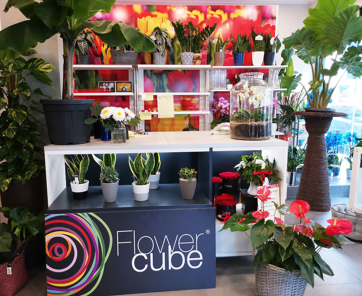 L'Oasi dei fiori в Милане обретает свежий облик благодаря обновленному и элегантному оформлению