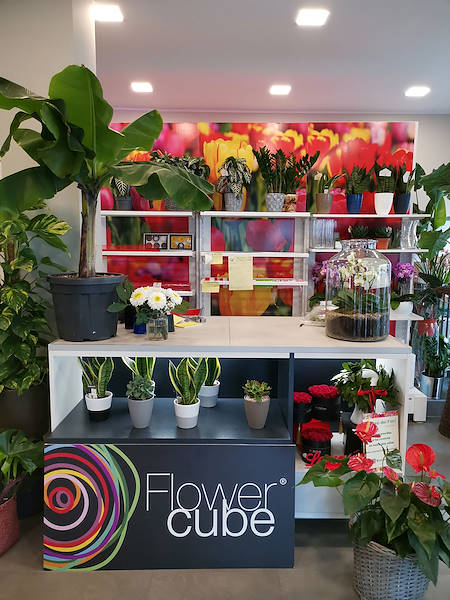 L'Oasi dei fiori в Милане обретает свежий облик благодаря обновленному и элегантному оформлению