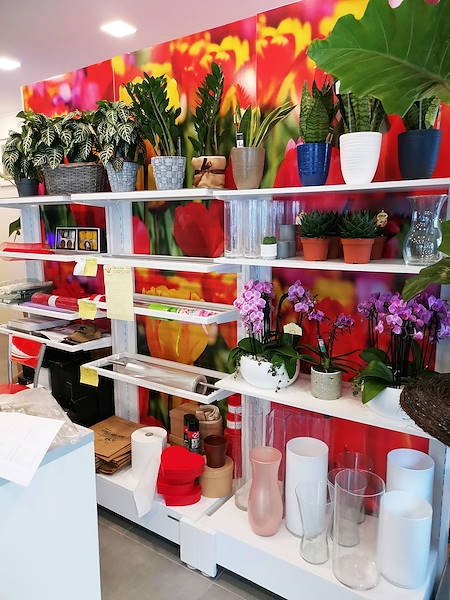 L'Oasi dei fiori в Милане обретает свежий облик благодаря обновленному и элегантному оформлению