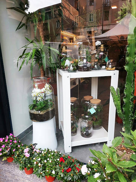 L'Oasi dei fiori в Милане обретает свежий облик благодаря обновленному и элегантному оформлению