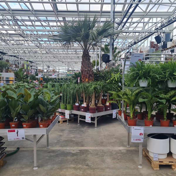 Инаугурация