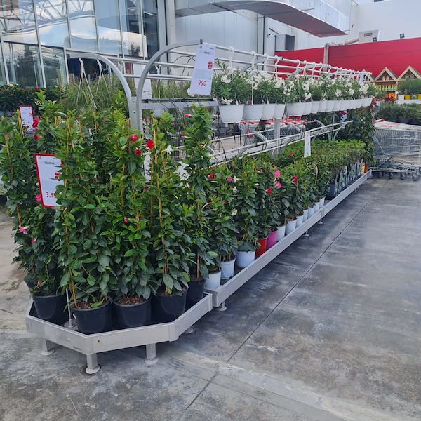 Инаугурация