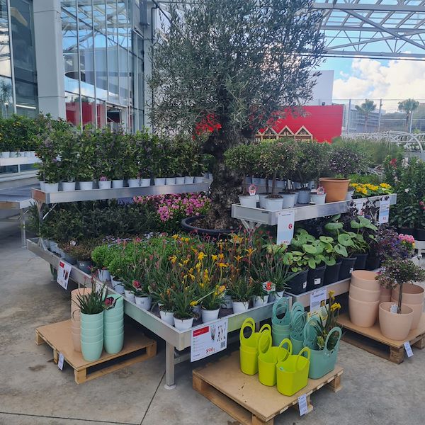 Инаугурация