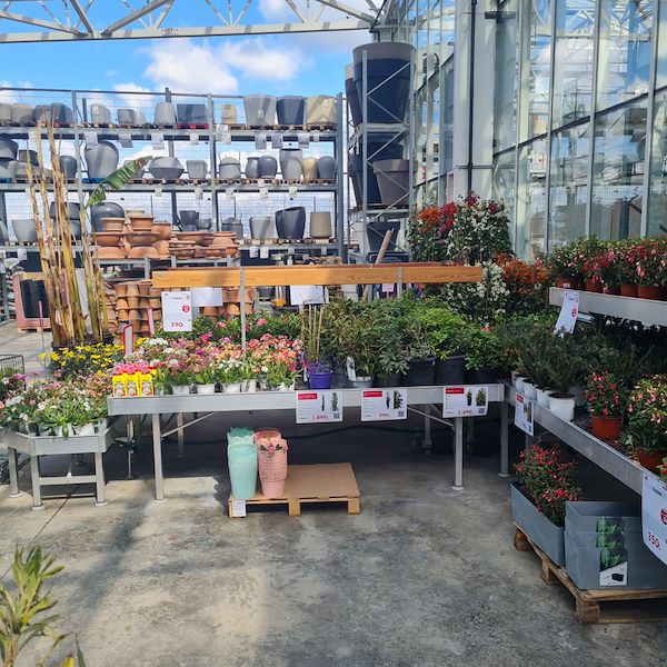 Инаугурация