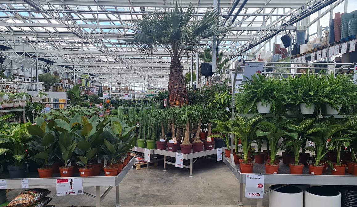 Megatek открывает новый Сад: 6500 квадратных метров, посвященных зеленому миру