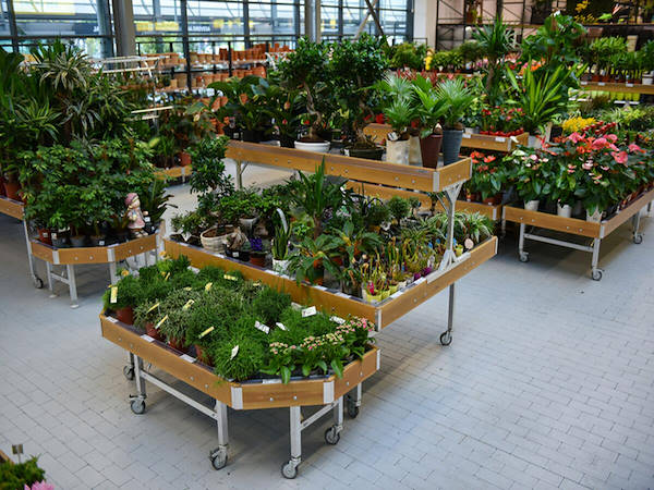 MERKUR enhances the plants and flowers department with the Orlandelli concepts