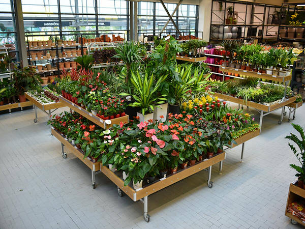 MERKUR enhances the plants and flowers department with the Orlandelli concepts