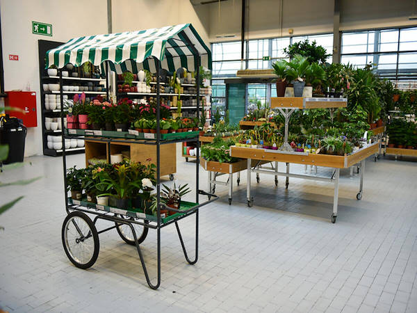 MERKUR дополняет и усовершенствует отдел растений и цветов концепциями Orlandell