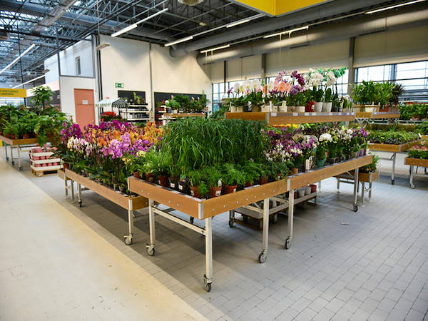 MERKUR дополняет и усовершенствует отдел растений и цветов концепциями Orlandell