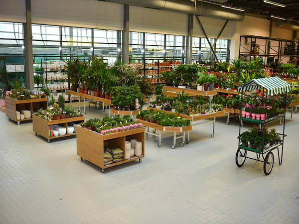 MERKUR дополняет и усовершенствует отдел растений и цветов концепциями Orlandell